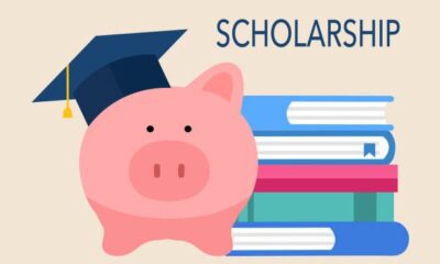 Free Scholarship to Study Abroad for Undergraduate Students (Fully Funded) 15 free scholarships