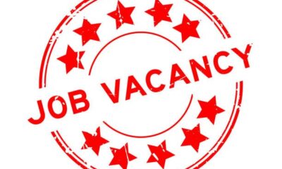 ✔️Job Opportunity- Social Media Analyst (Remote) at NauNau SOS App 17 ✔️Job Opportunity- Social Media Analyst (Remote) at NauNau SOS App - istockphoto 1941293352 612x612 2