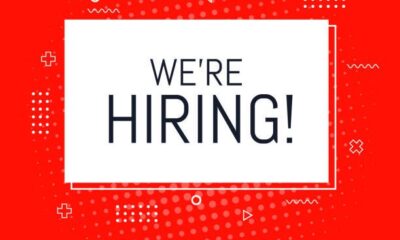 Frontend Developer (Remote) at TVZ Corp - Remote - istockphoto 2167024460 612x612 1