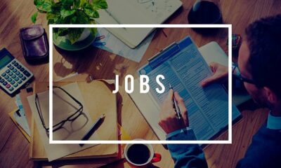 [Vacancy] Virtual Assistant and Digital Specialist (Remote) at a US-based Fintech Company - Digital Pioneer Marketing Agency - istockphoto 494125976 612x612 1