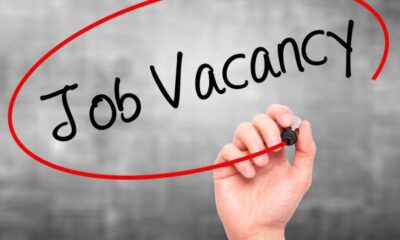 [New Job Alert] Accountant at Chilis Restaurant - istockphoto 693293382 612x612 1